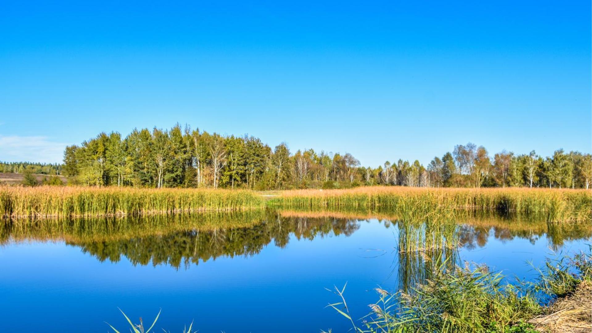 Sherwood Lake Hotel Berezovka  Dış mekan fotoğraf